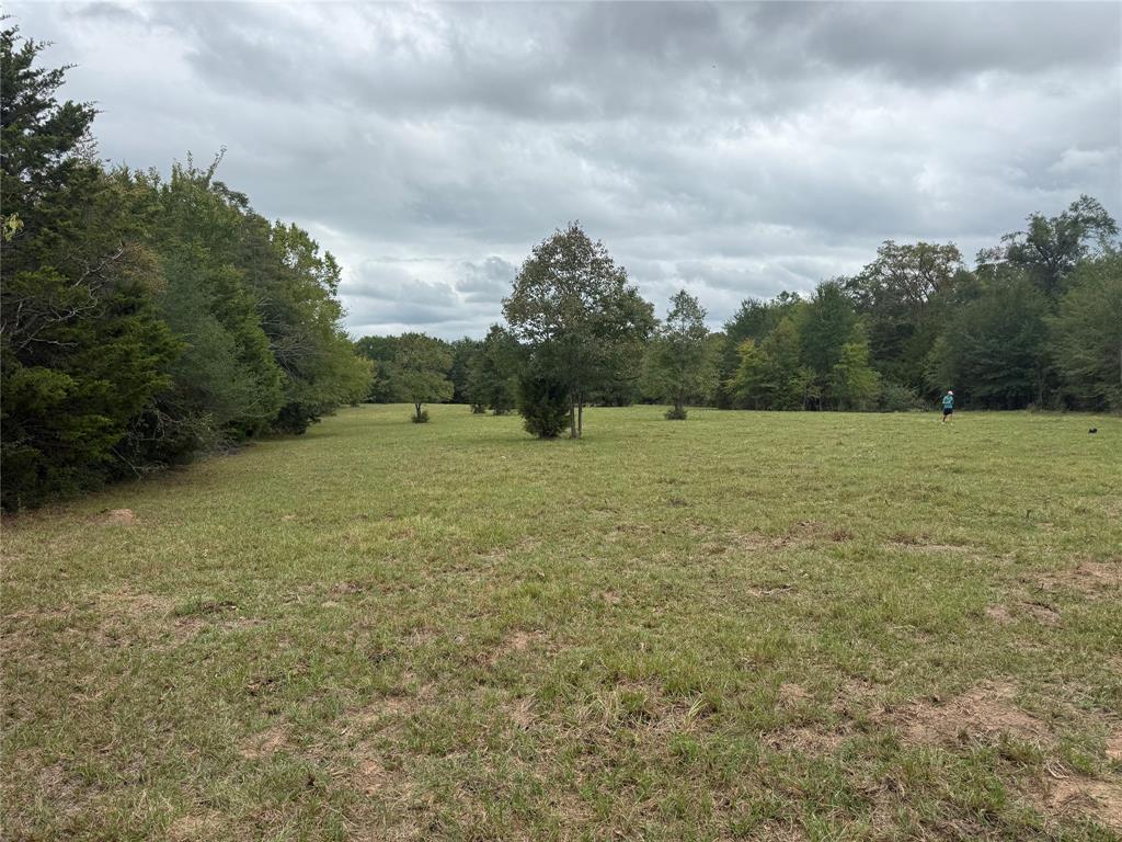 7.49 (+/-) I-20 Property Photo 10