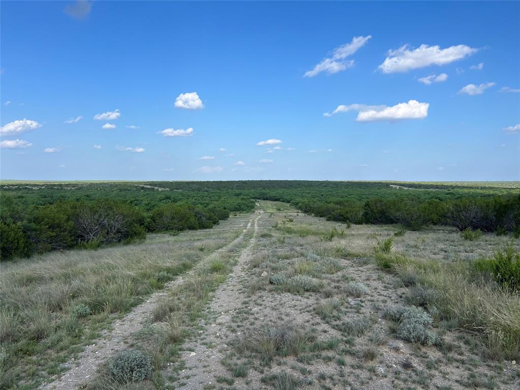 15134 Fm 2134 Property Photo 12