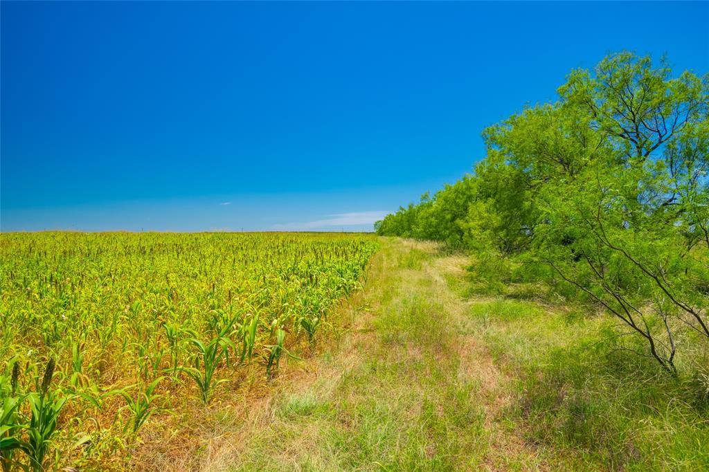 9877 Fm 209 Property Photo 33