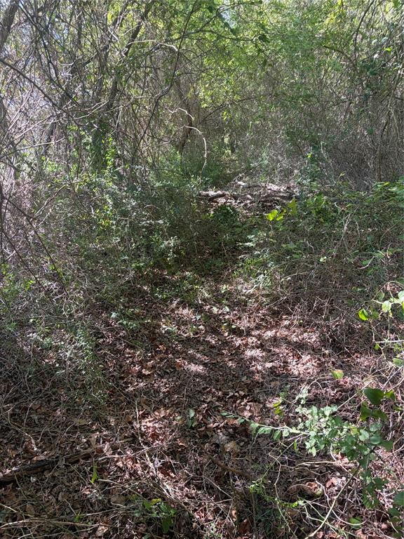 994 Brazos Property Photo 1