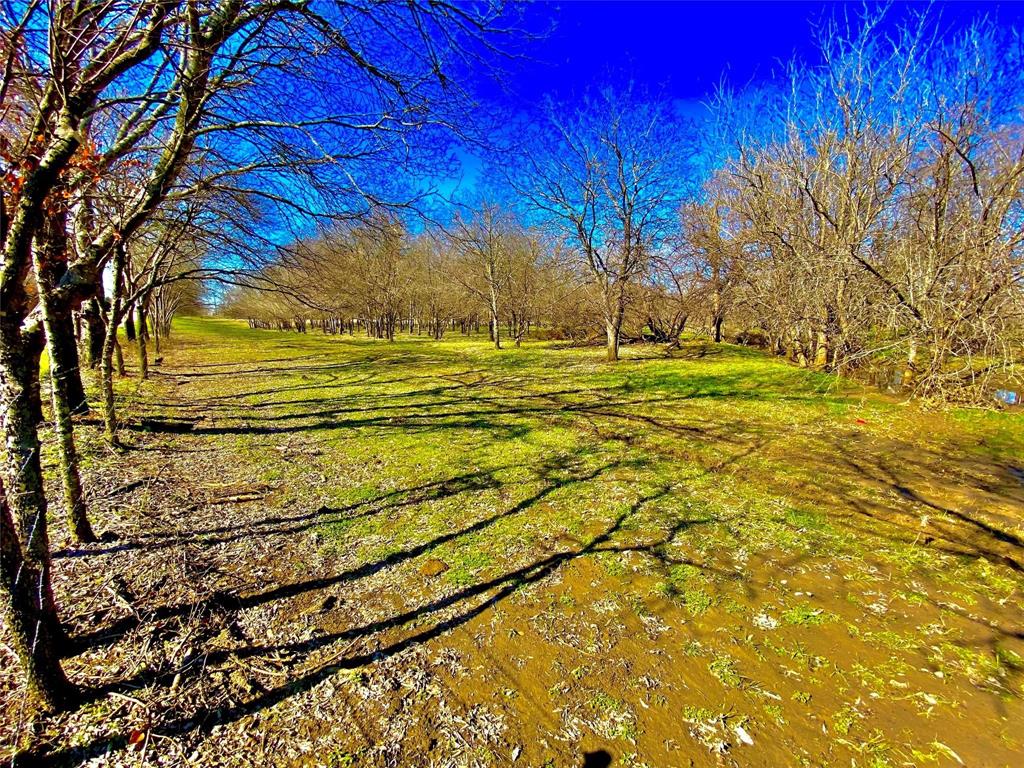 9507 County Road 513 Property Photo 1