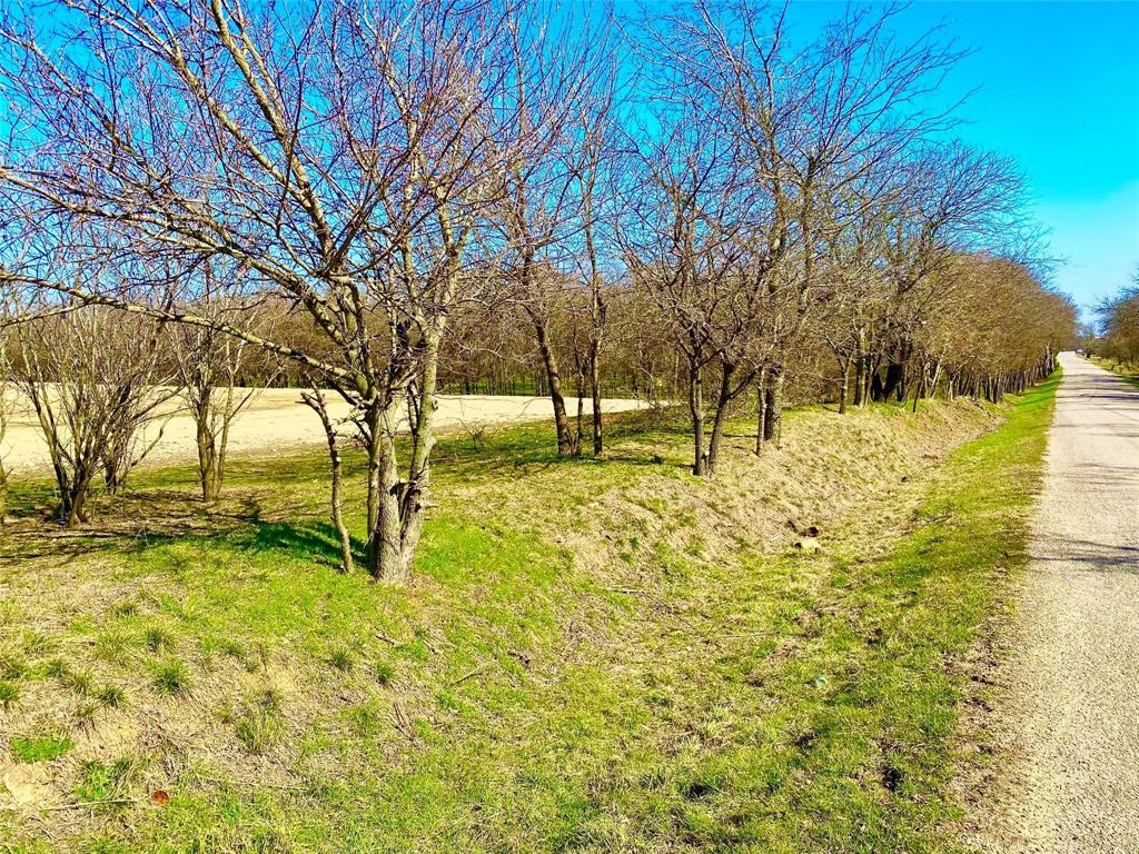 9507 County Road 513 Property Photo 3