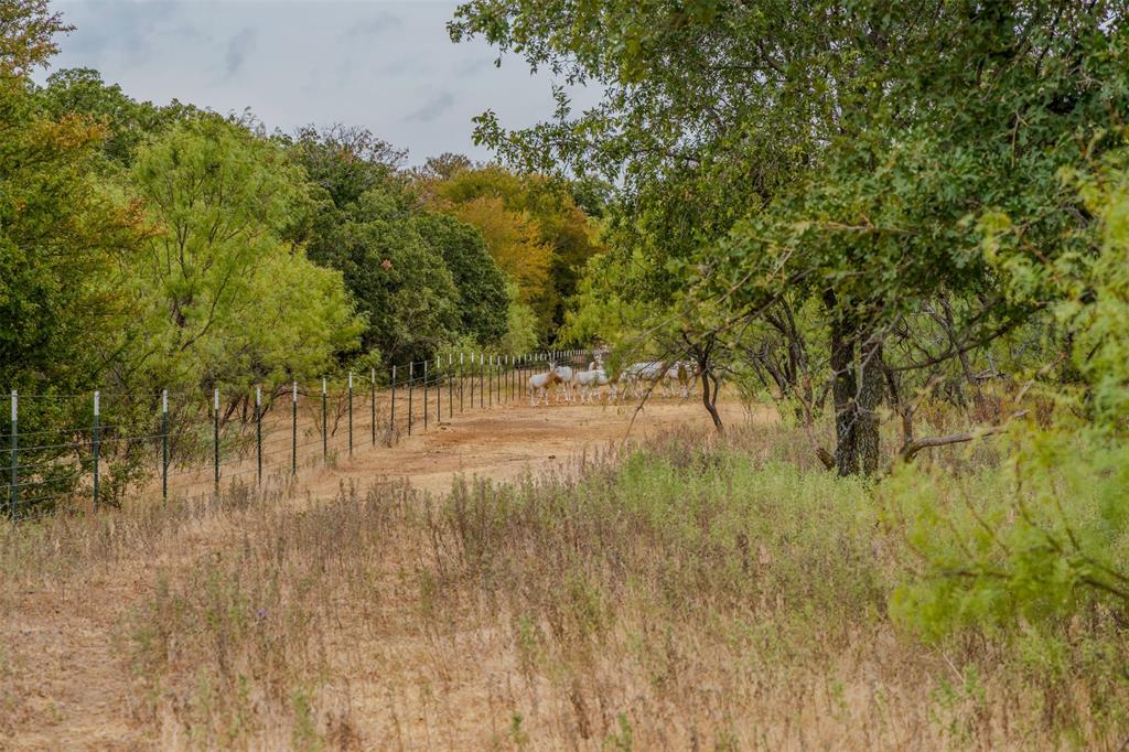 2531 Fm 2075 Property Photo 6