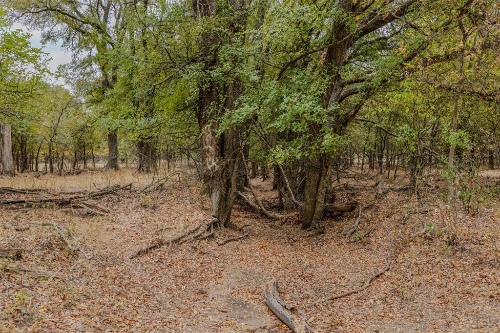 2531 Fm 2075 Property Photo 19