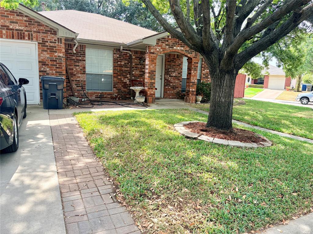 1036 El Triumfo Street Property Photo 2