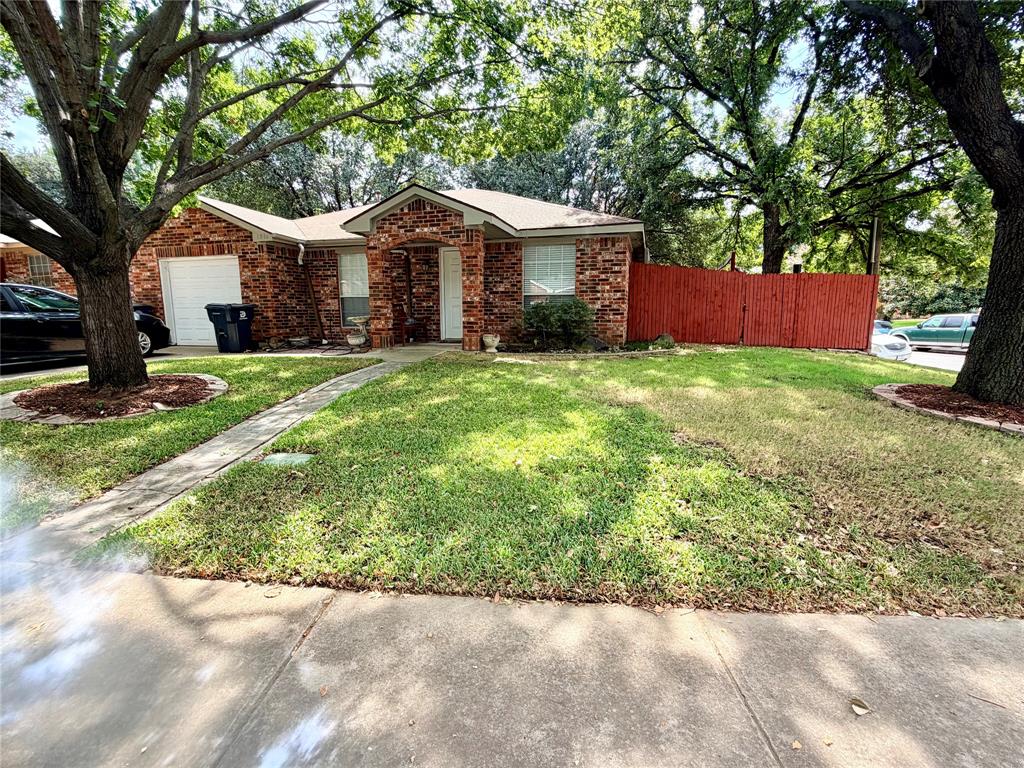 1036 El Triumfo Street Property Photo 3