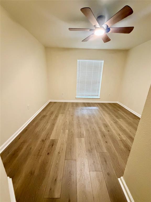 1036 El Triumfo Street Property Photo 13