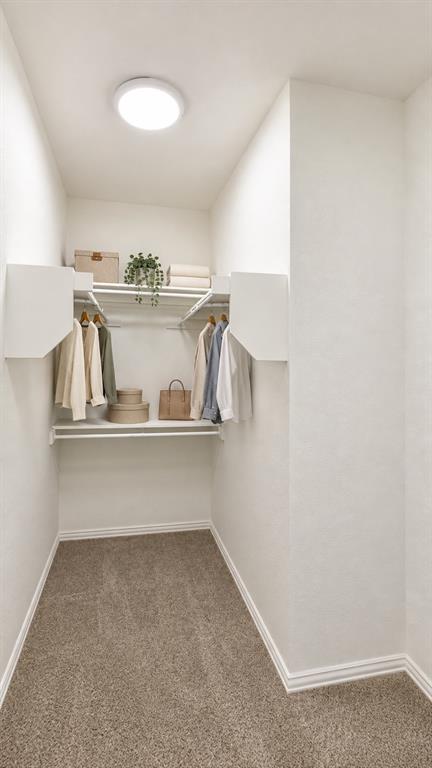 5116 Grove Cove Drive Property Photo 16