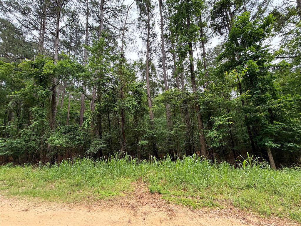 0 Sixth Avenue Property Photo 6