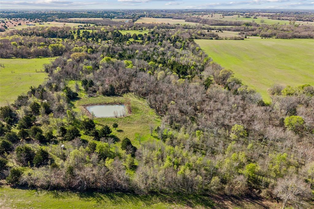 Off County Road 4115 Property Photo 2