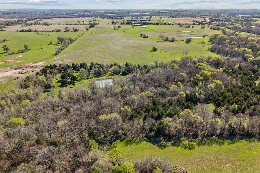 Off County Road 4115 Property Photo 3