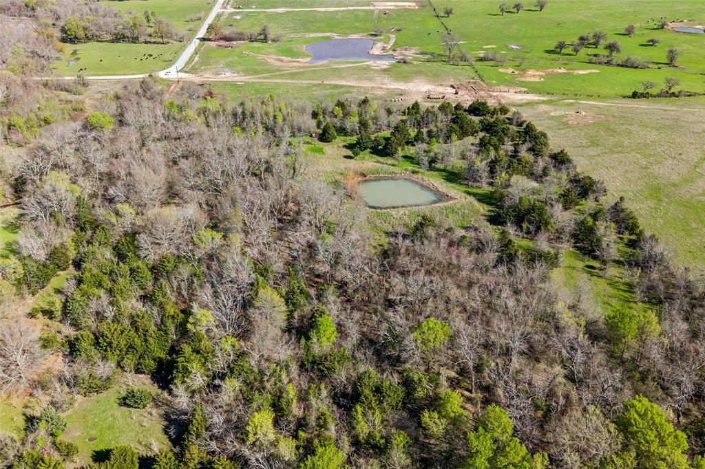 Off County Road 4115 Property Photo 4