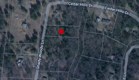 66 Shady Woods Lane Property Photo 1