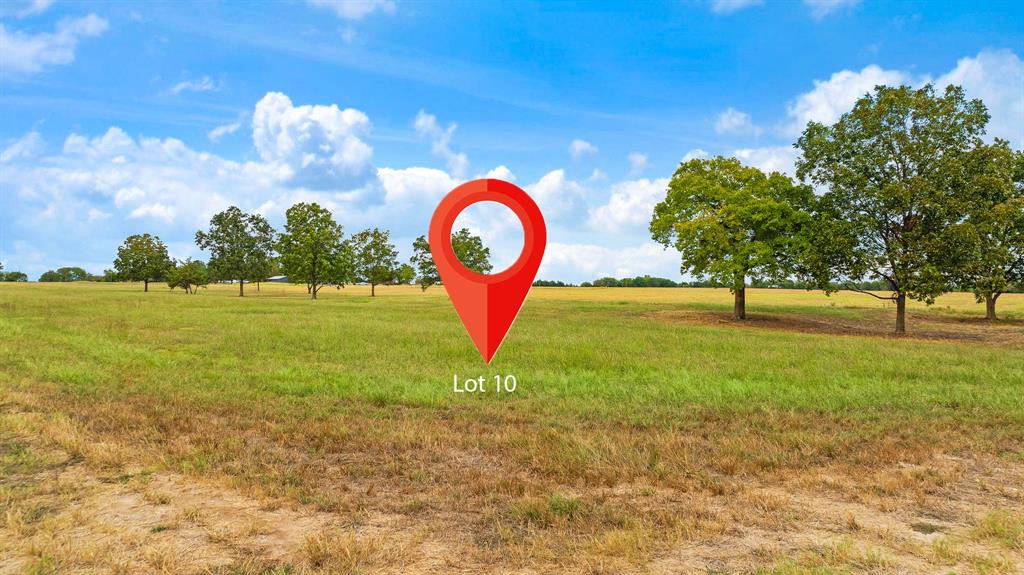 311 Private Road 33263 Property Photo 2