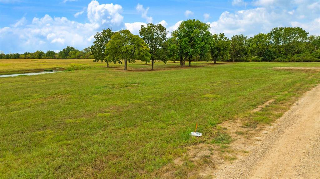 311 Private Road 33263 Property Photo 9