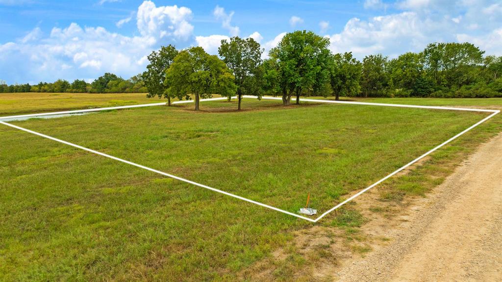311 Private Road 33263 Property Photo 14