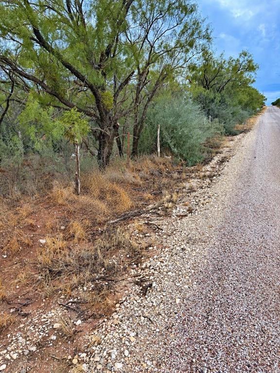 Tbd Cr 107 Property Photo 1