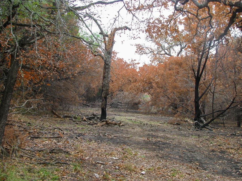 Lot 102 Ph 6 Private Road 42101 Property Photo 5