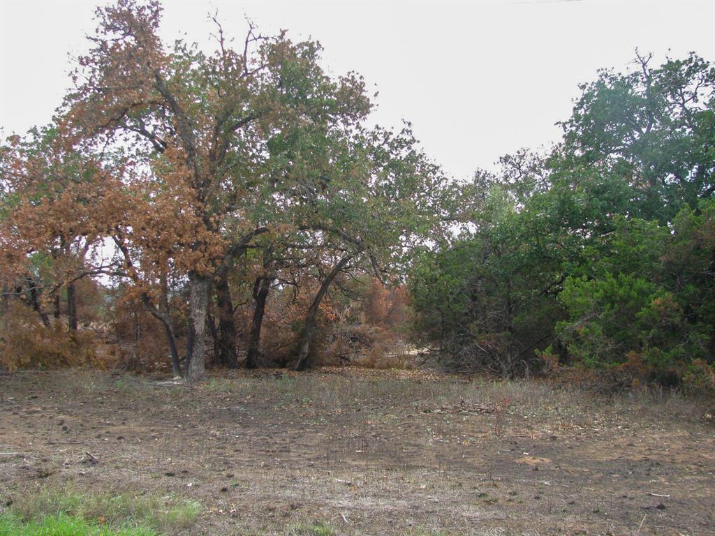 Lot 102 Ph 6 Private Road 42101 Property Photo 8
