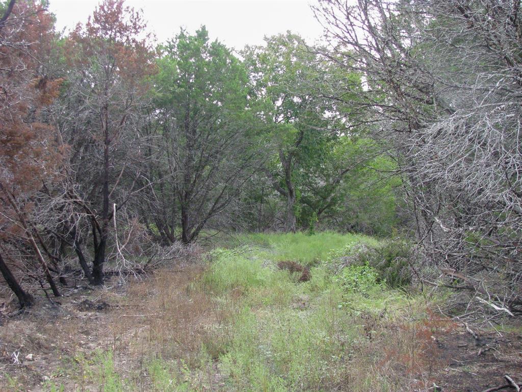 Lot 102 Ph 6 Private Road 42101 Property Photo 11