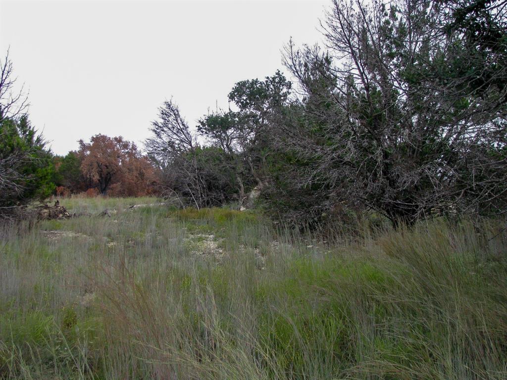 Lot 102 Ph 6 Private Road 42101 Property Photo 12
