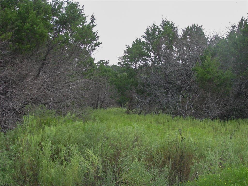 Lot 102 Ph 6 Private Road 42101 Property Photo 13