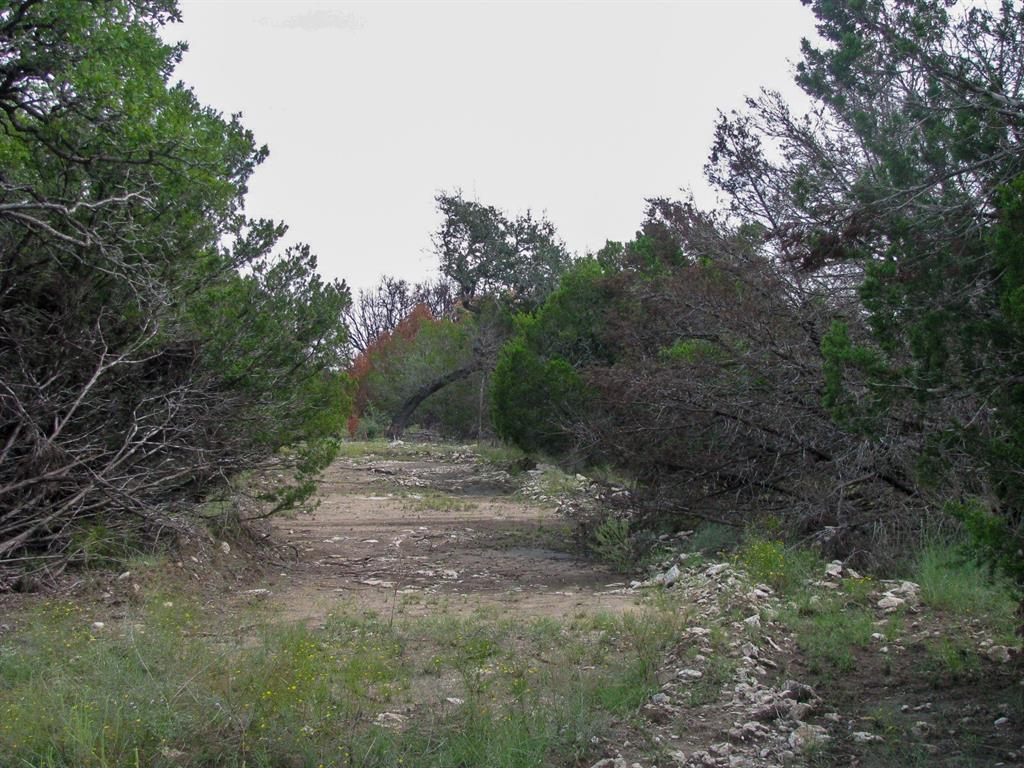 Lot 102 Ph 6 Private Road 42101 Property Photo 14