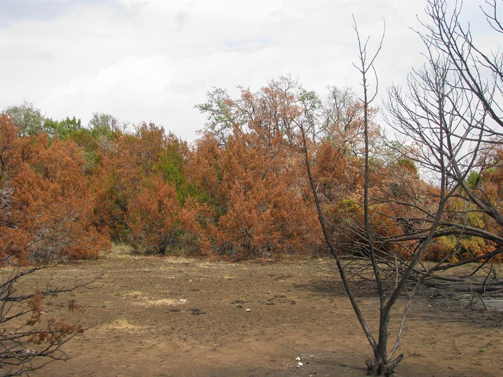 Lot 102 Ph 6 Private Road 42101 Property Photo 16