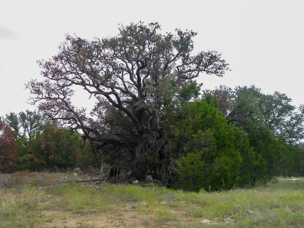 Lot 102 Ph 6 Private Road 42101 Property Photo 17