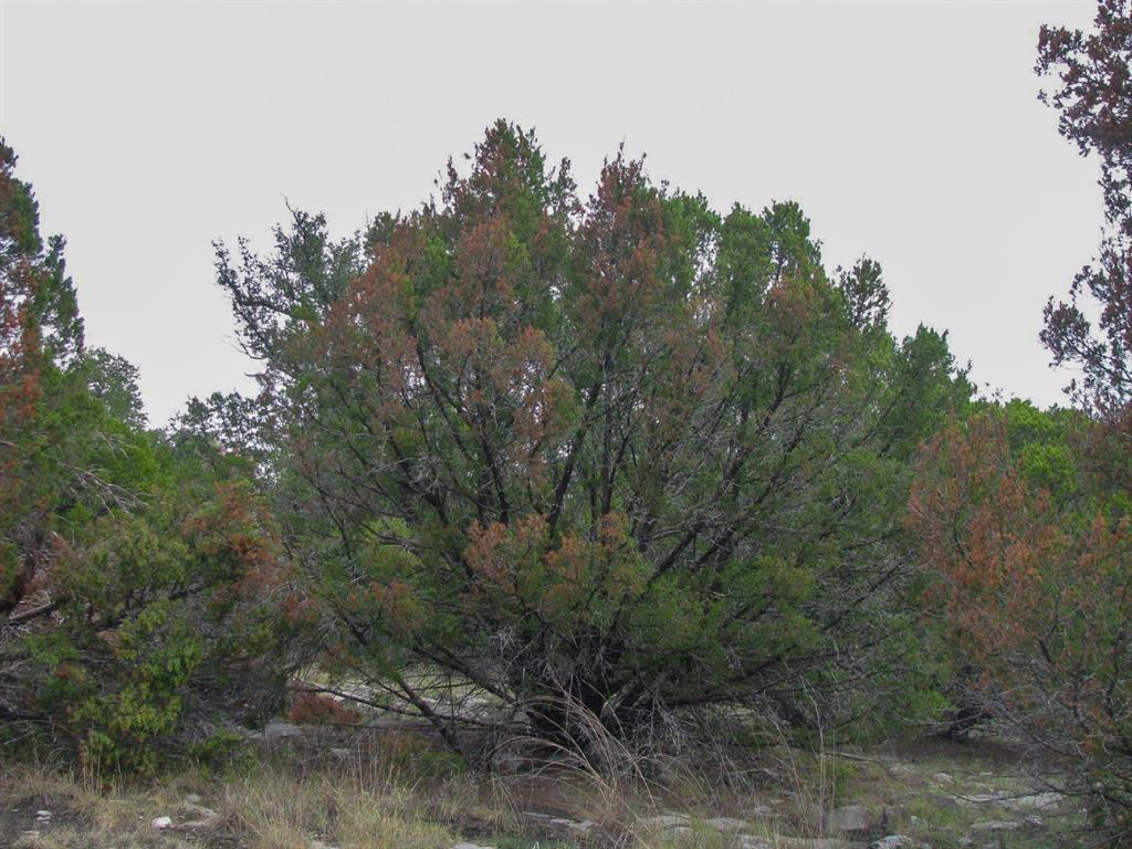 Lot 102 Ph 6 Private Road 42101 Property Photo 18