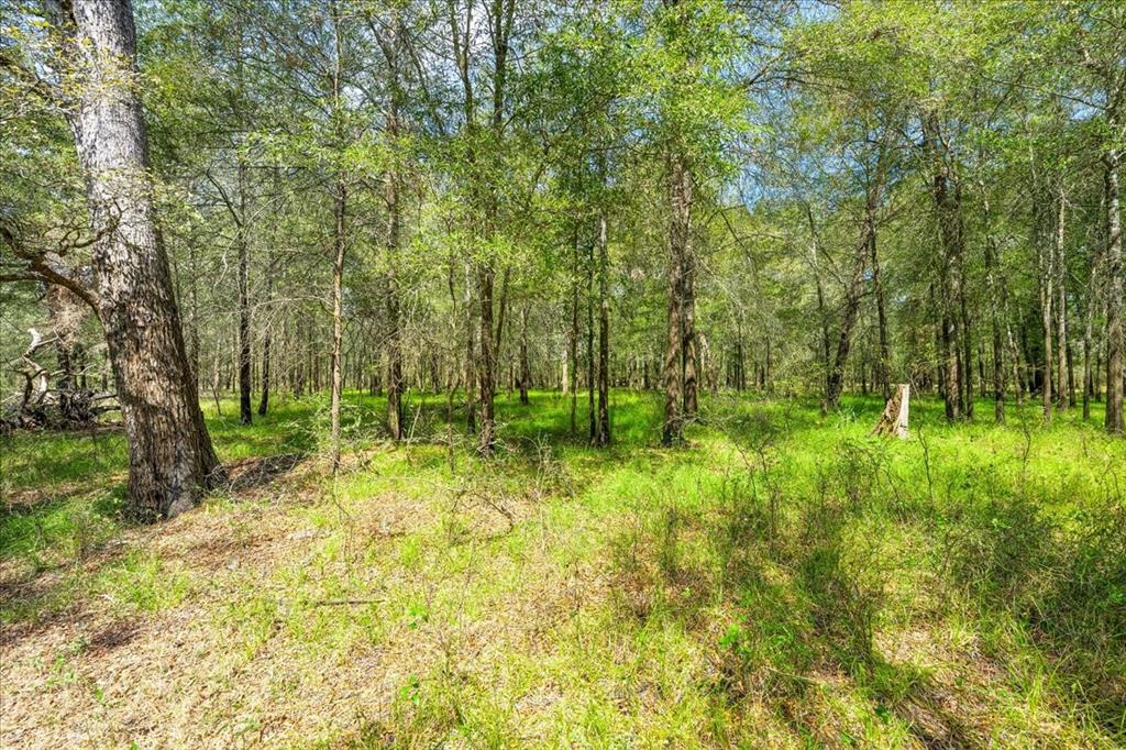 0 Private Road 1235 Property Photo 19