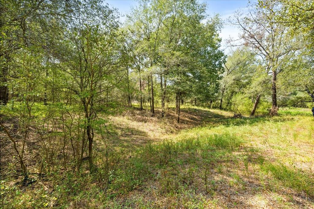 0 Private Road 1235 Property Photo 20