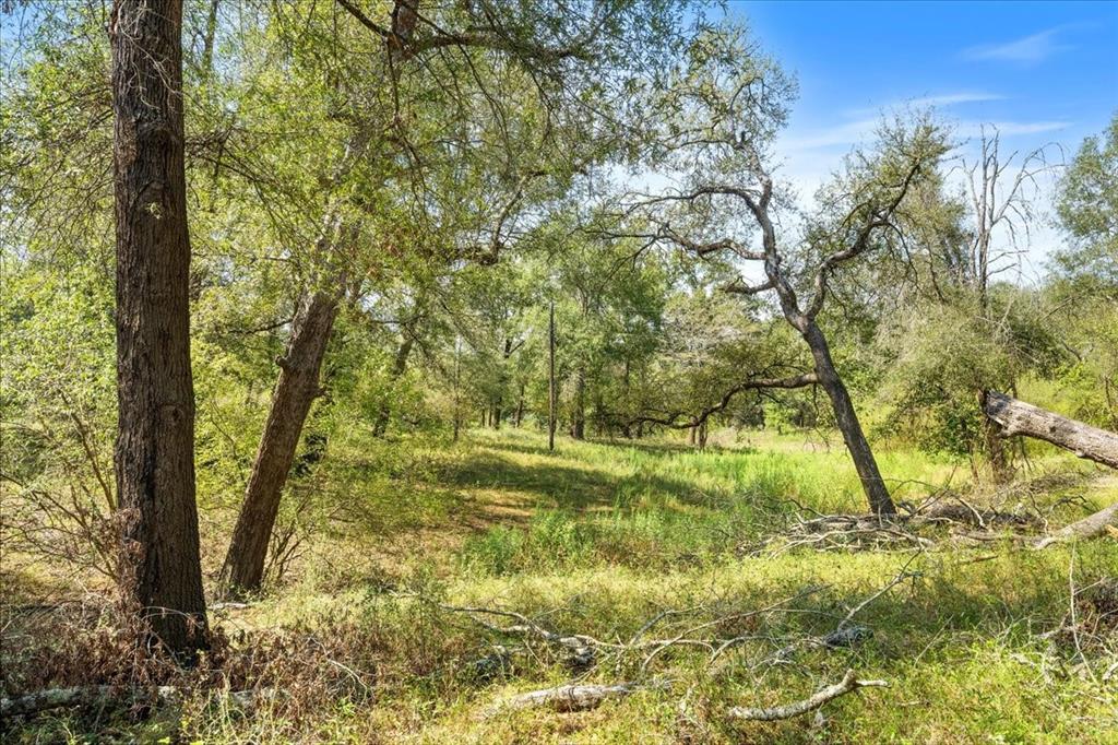 0 Private Road 1235 Property Photo 21