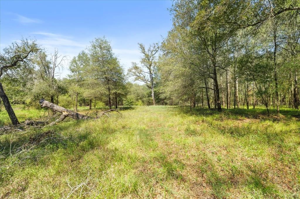 0 Private Road 1235 Property Photo 22