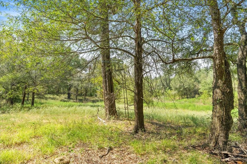 0 Private Road 1235 Property Photo 24
