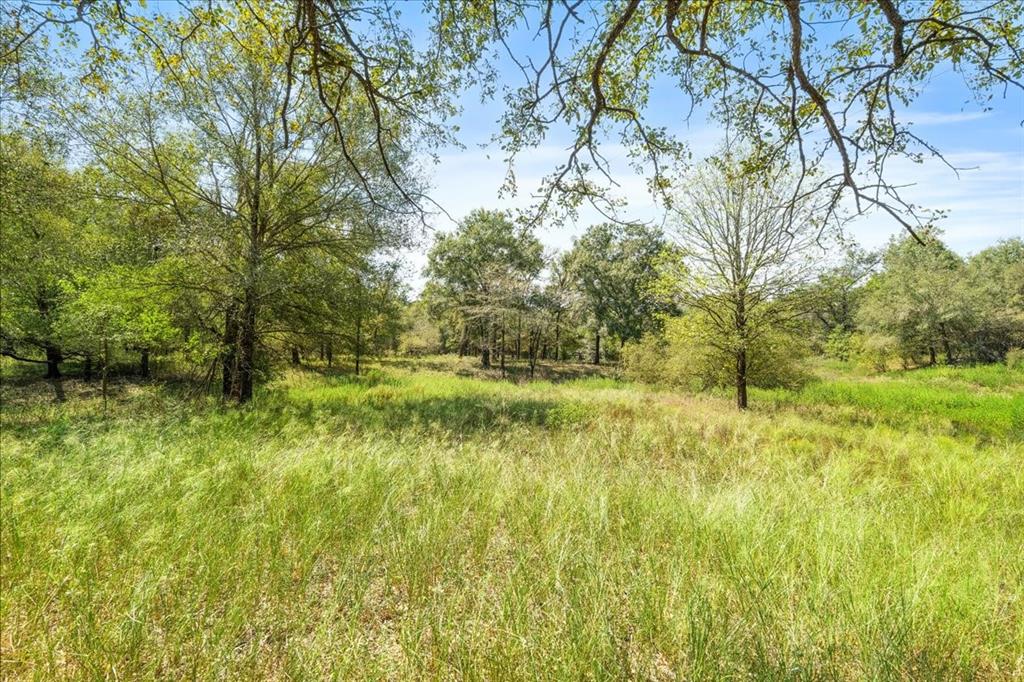 0 Private Road 1235 Property Photo 25