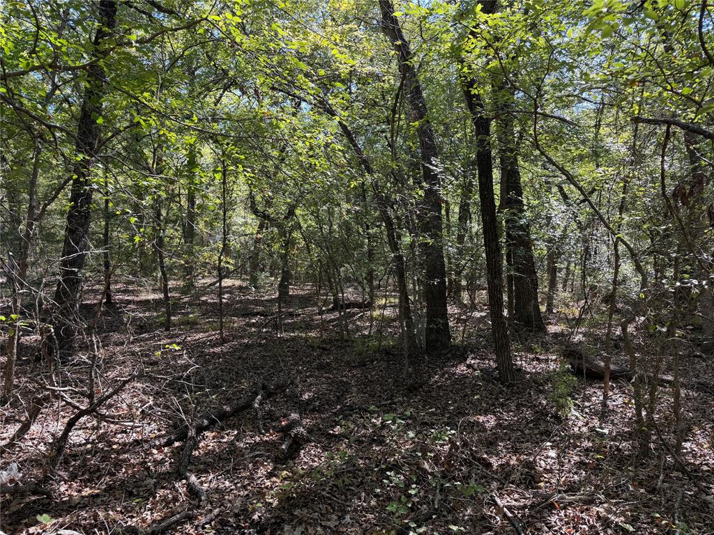 0 R And R Circle Lot 12 Property Photo 2
