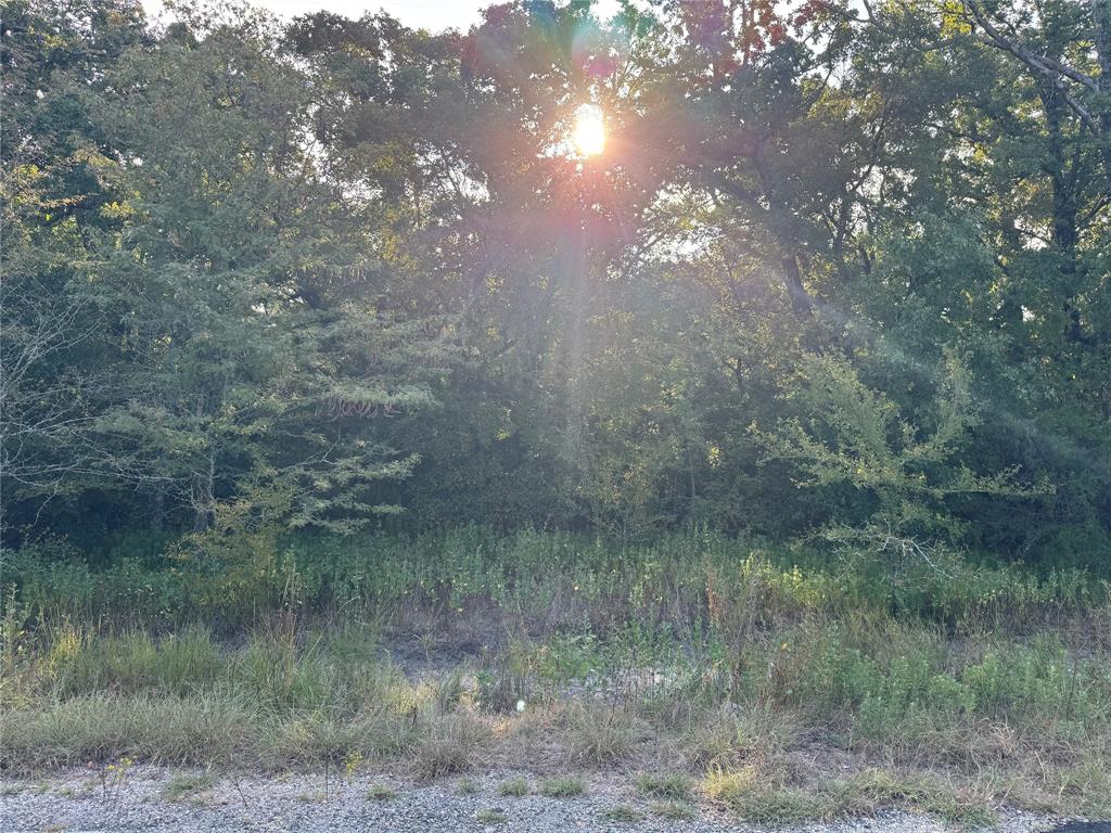 0 R And R Circle Lot 12 Property Photo 3