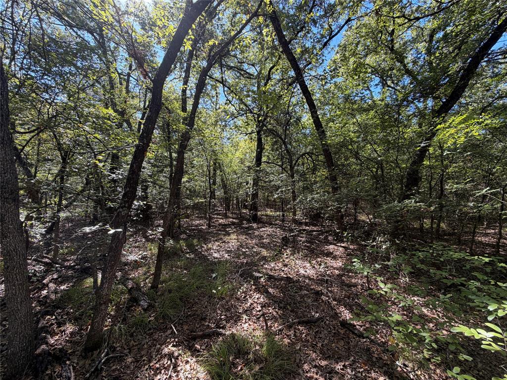0 R And R Circle Lot 12 Property Photo 7