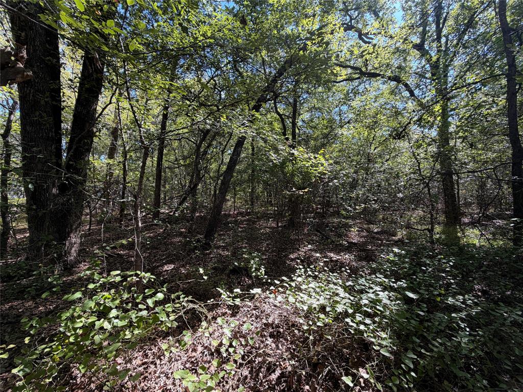 0 R And R Circle Lot 12 Property Photo 12