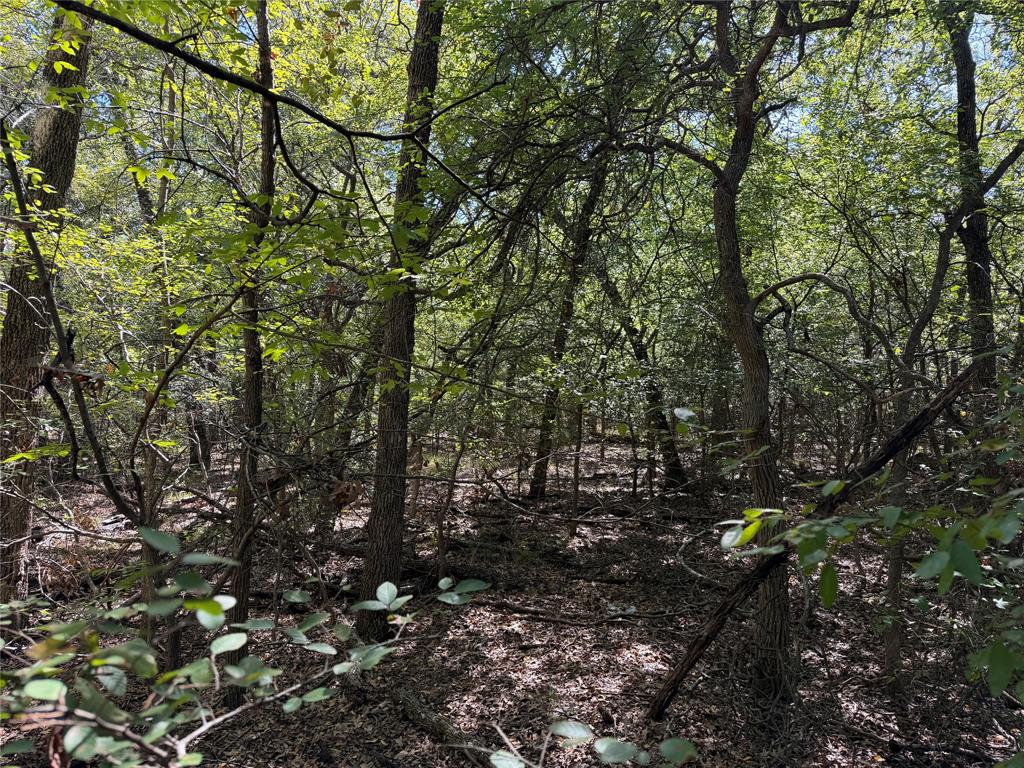 0 R And R Circle Lot 12 Property Photo 13