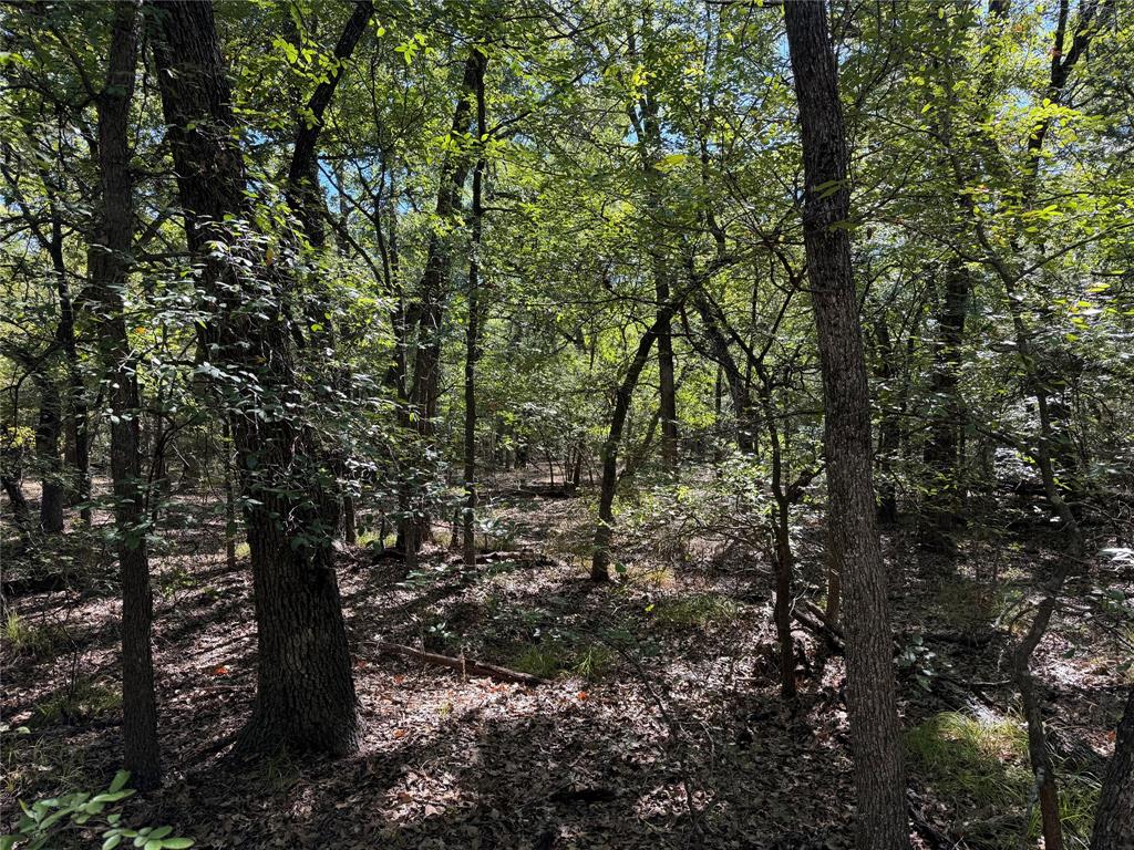 0 R And R Circle Lot 12 Property Photo 14