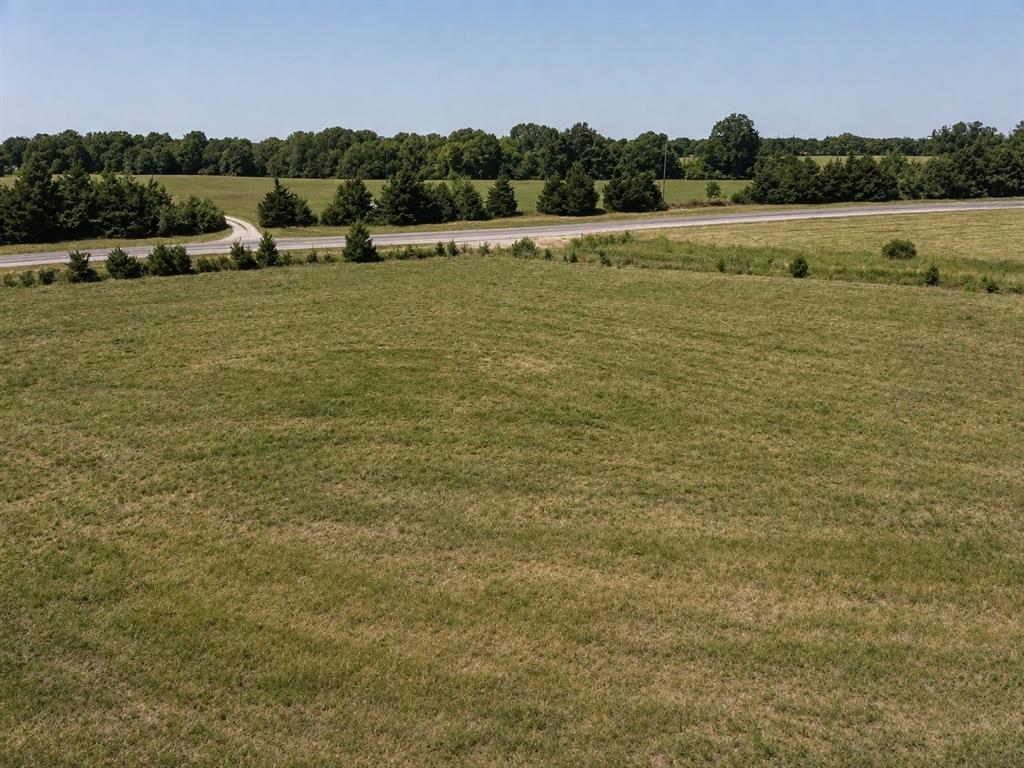 000 Lot 15 Fm 79 Property Photo 4