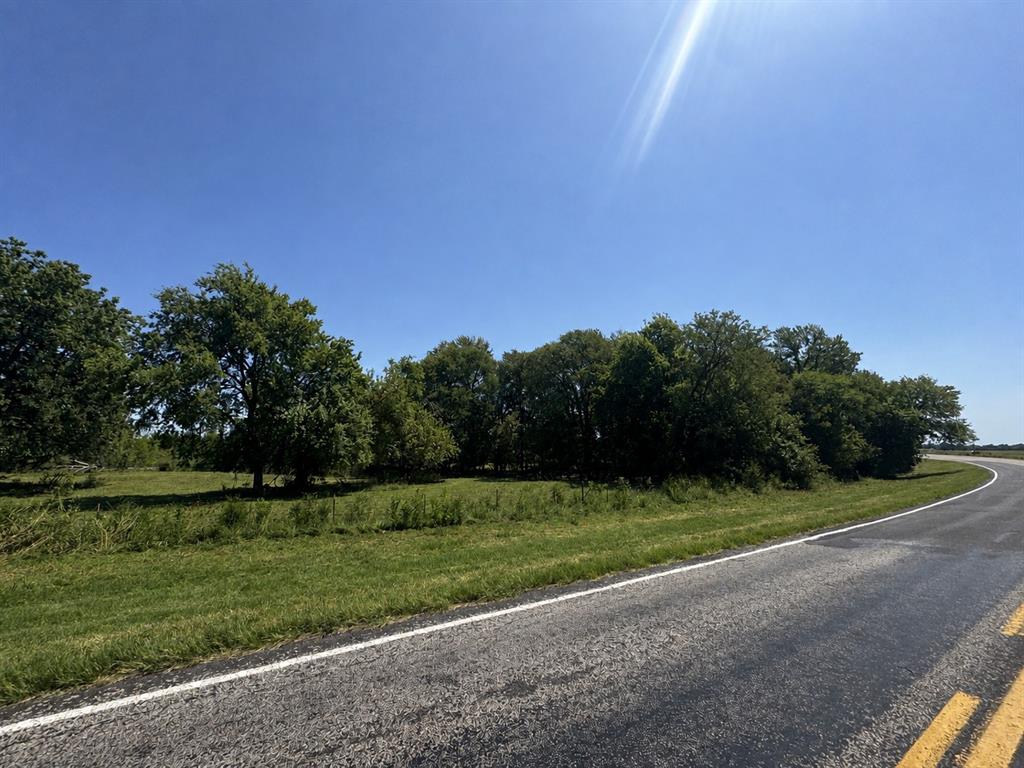 000 Lot 15 Fm 79 Property Photo 5