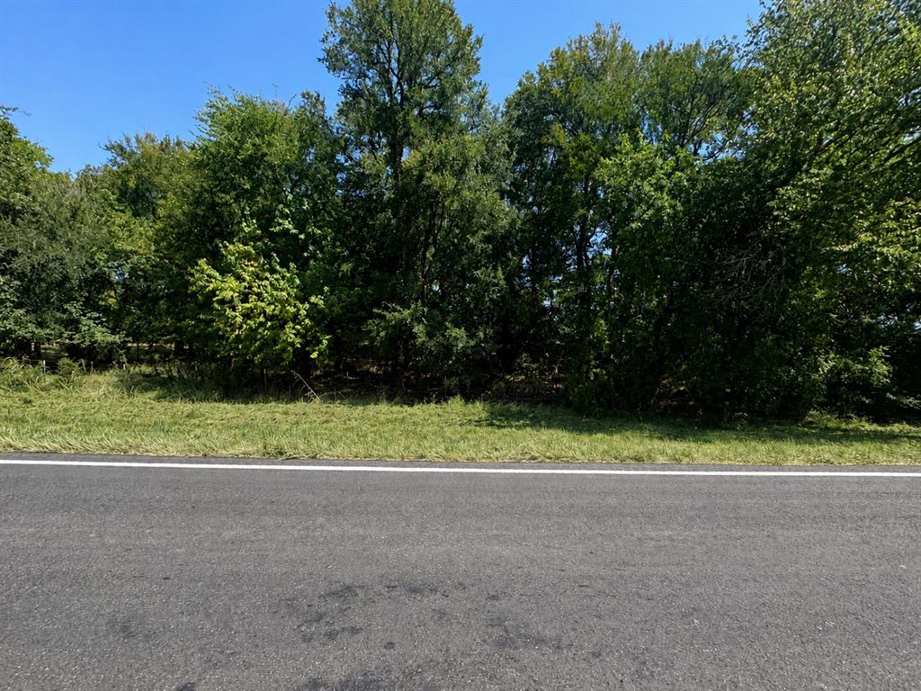 000 Lot 15 Fm 79 Property Photo 7