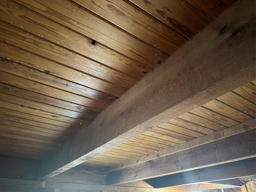 129 Old Ida Road Property Photo 22