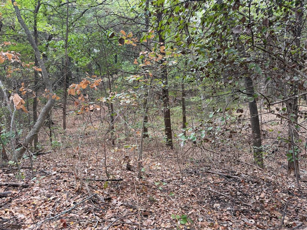 129 Old Ida Road Property Photo 39
