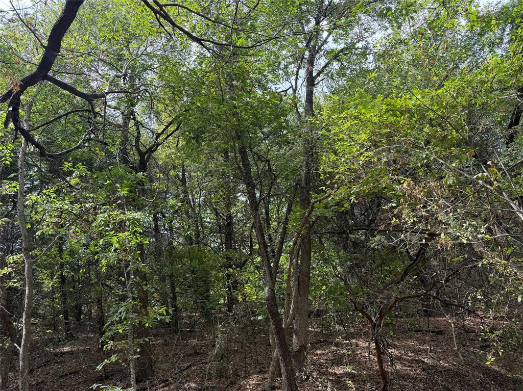 129 Old Ida Road Property Photo 40