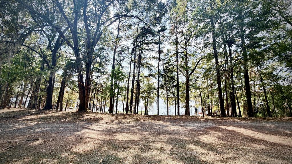 15585 Rudd Road Property Photo 18