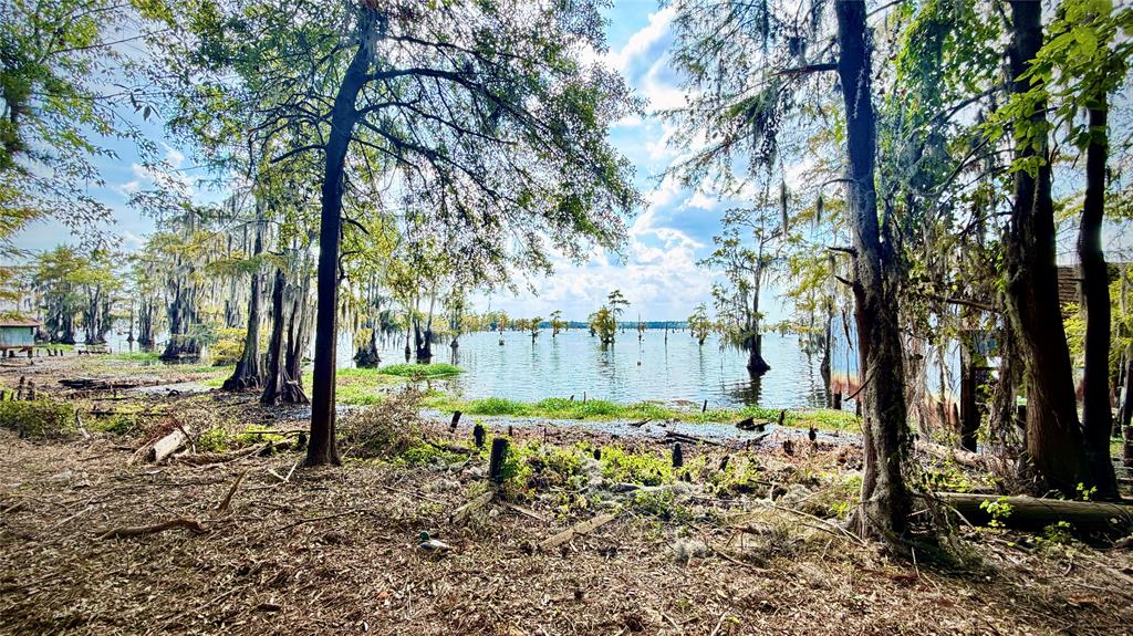 15585 Rudd Road Property Photo 19